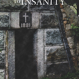 The Side Door To Insanity Poster by Mia Bornstein.jpg